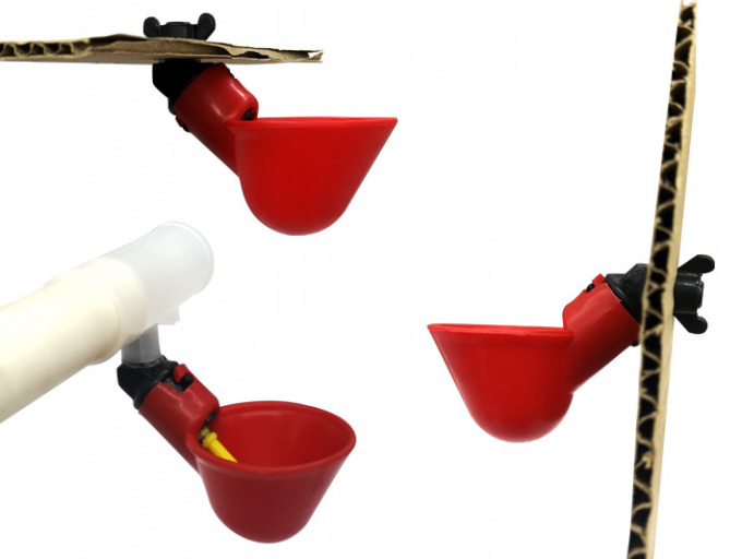 ابزار مزرعه حیوانات کاسه آب آشامیدنی مرغ اتوماتیک قفسه مرغ پرنده مرغ پلاستیکی Chicken Chick Fowl Nipple Drinker Drip 7