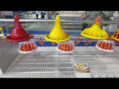 سیستم تغذیه خودکار طیور