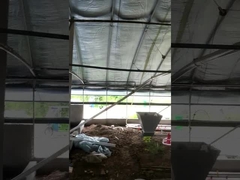 ولتاژ قابل تنظیم تجهیزات فیدر مزرعه مرغ اتوماتیک سفارشی