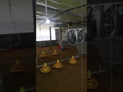 ولتاژ قابل تنظیم تجهیزات فیدر مزرعه مرغ اتوماتیک سفارشی